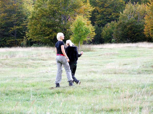 DSCF0560