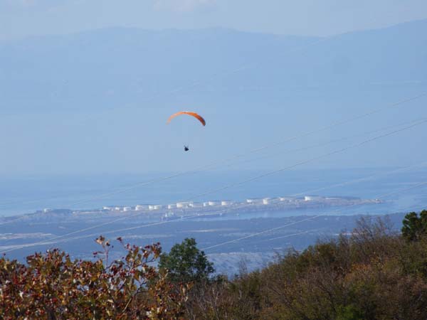 DSCF0767