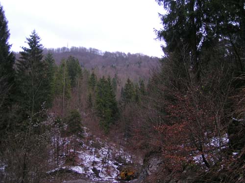 PICT2239
