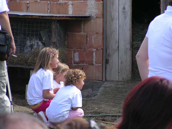 PICT0082
