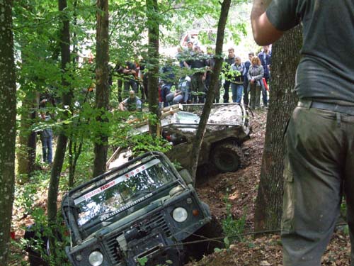 DSCF1981