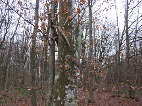 DSCF0457