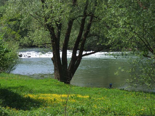 DSCF1311