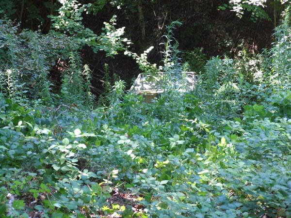 DSCF7470