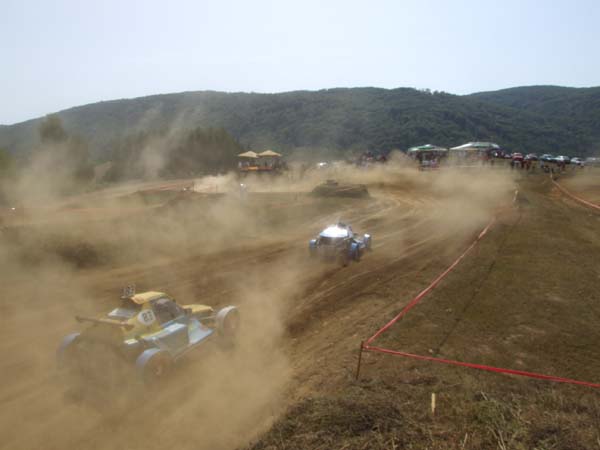 DSCF8031