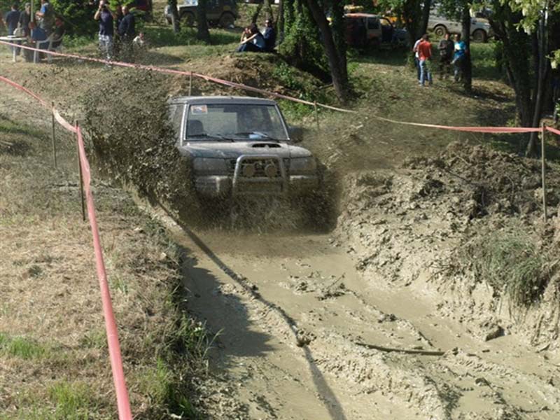 poligon12
