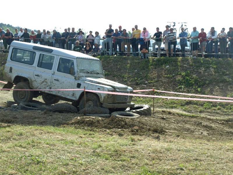 poligon24