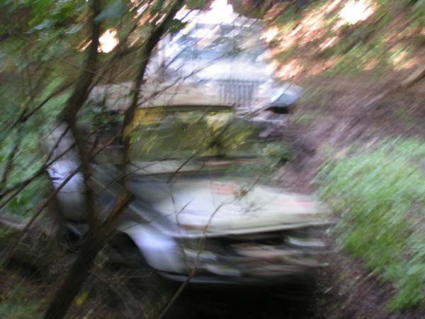 PICT5271