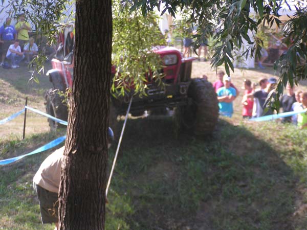 PICT5305