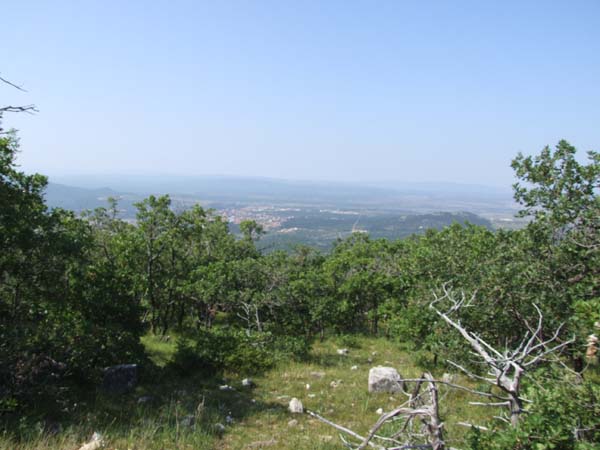 DSCF1740