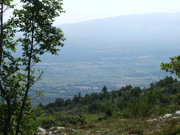 DSCF1759