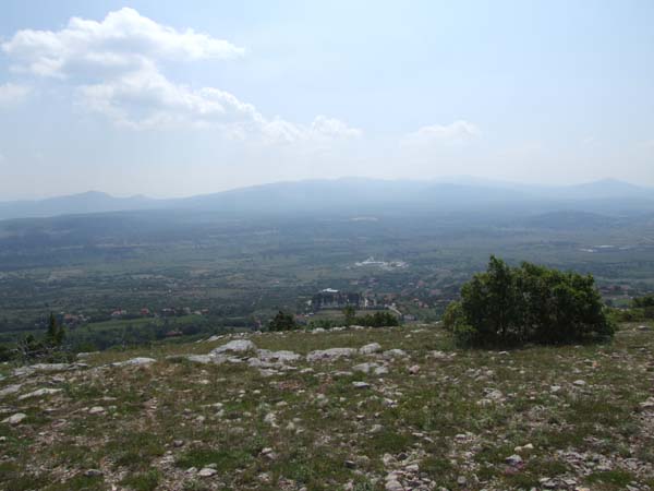 DSCF1784