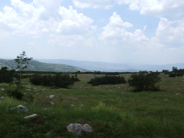 DSCF1938