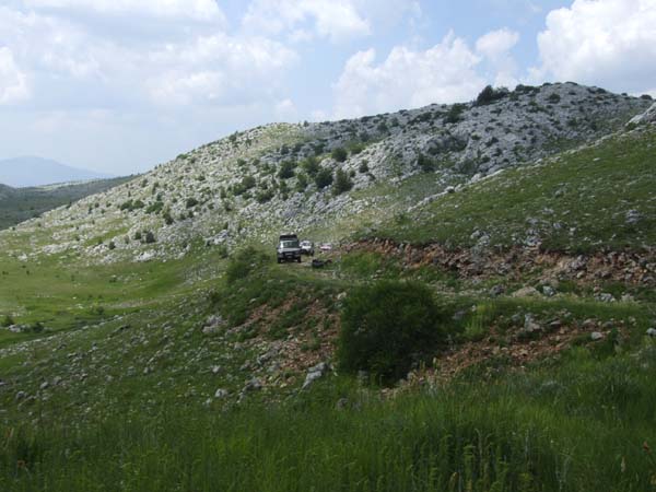 DSCF2001