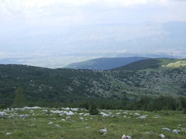DSCF2021
