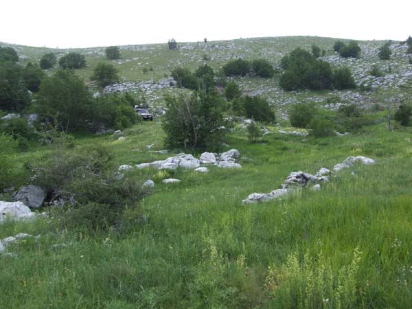 DSCF2048