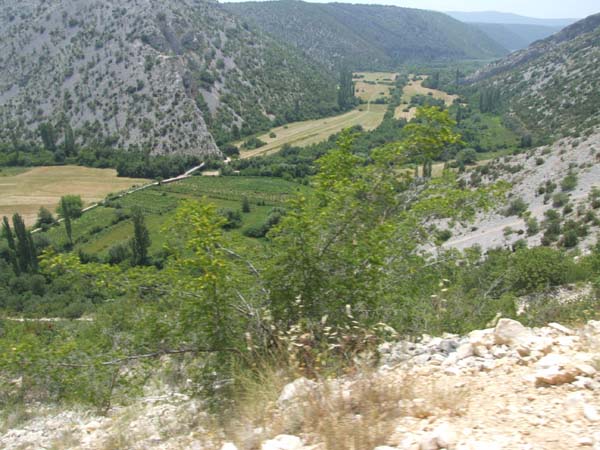 DSCF2476