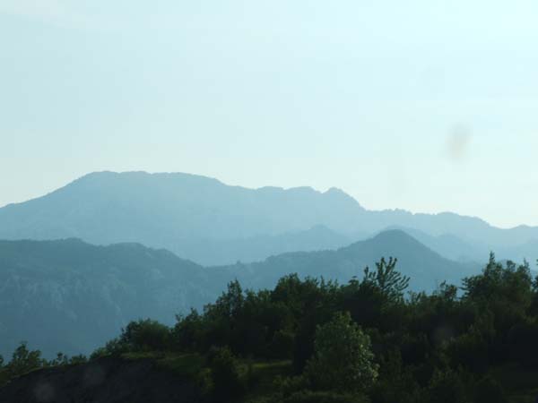 DSCF2594