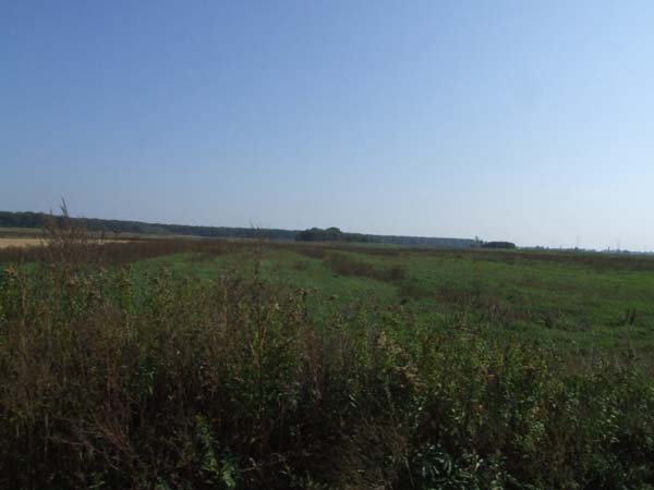 DSCF4769