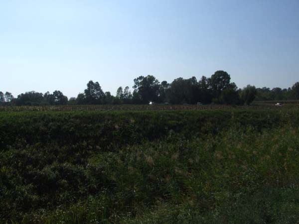 DSCF4783