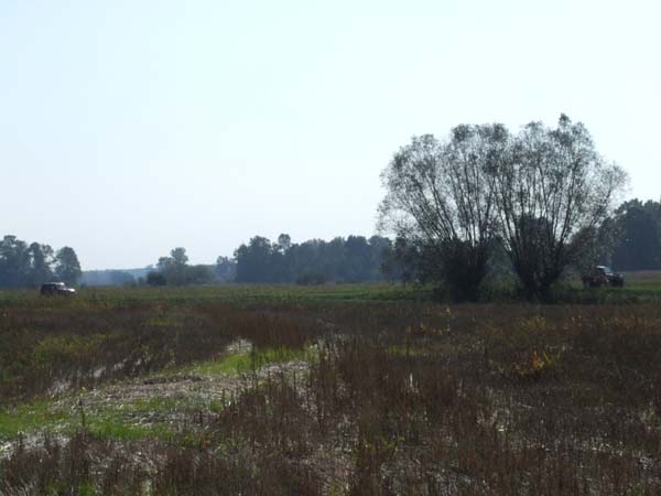 DSCF4791