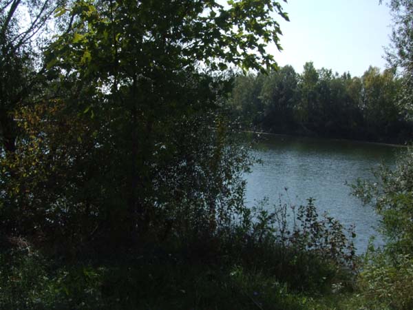DSCF4797