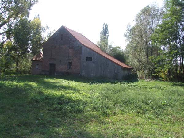 DSCF4802