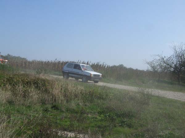 DSCF4846