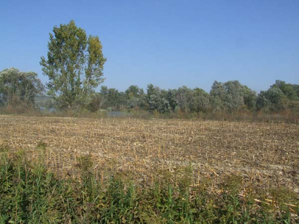 DSCF4866