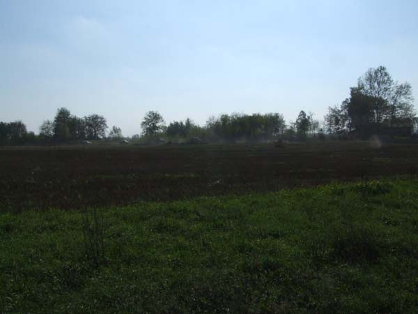 DSCF4873