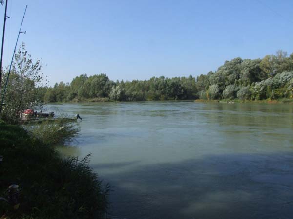 DSCF4886