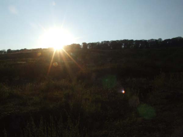 DSCF4980