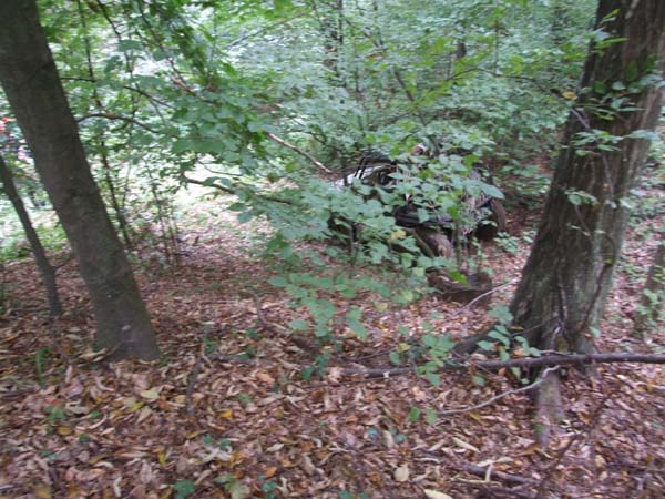 DSCF5339