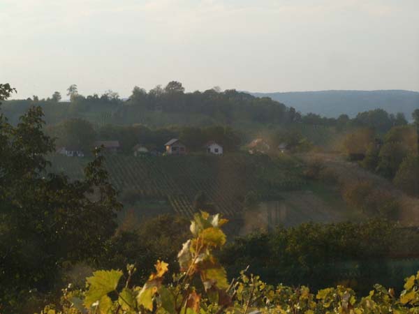 DSCF5683