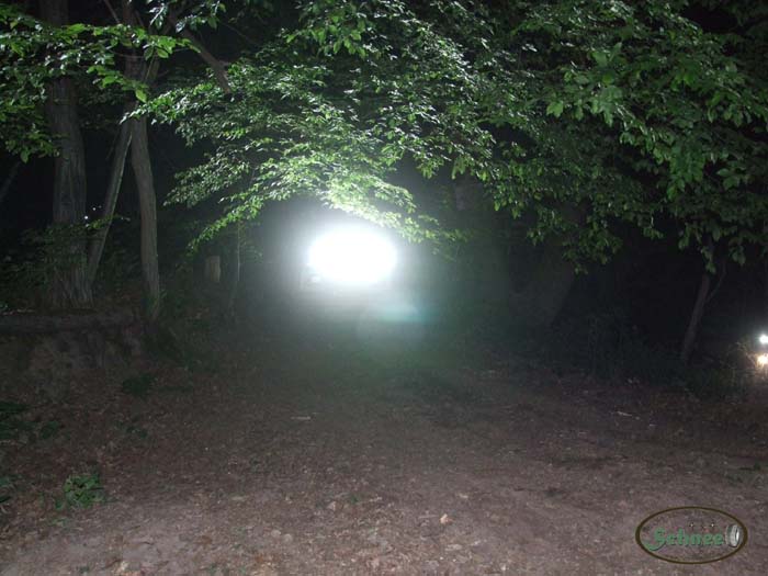 DSCF7449