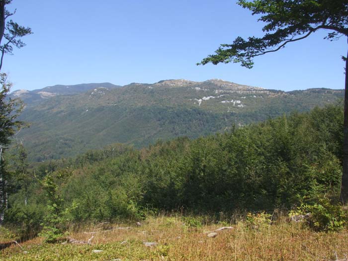 DSCF0977