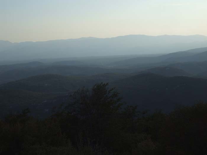 DSCF1157