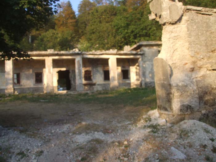 DSCF1176