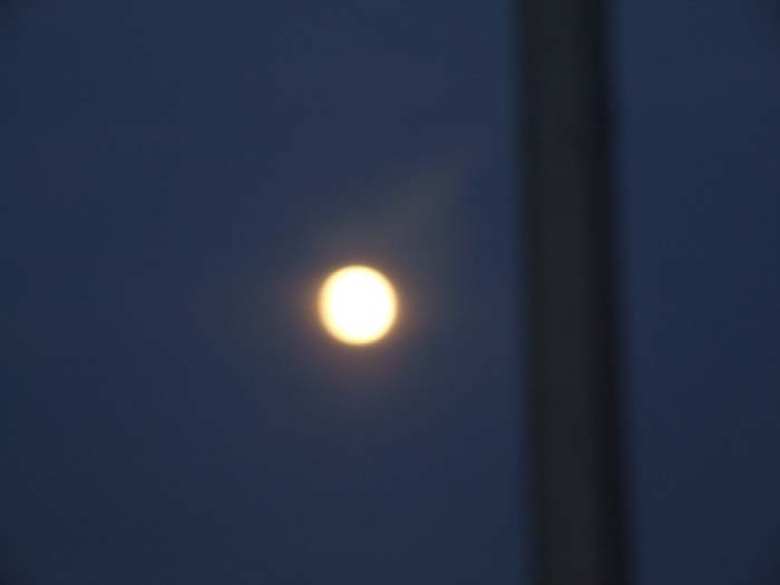DSCF9867