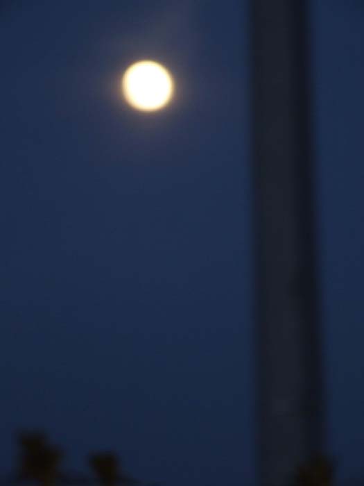 DSCF9868