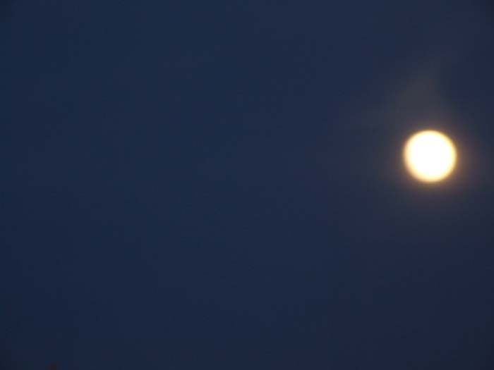 DSCF9869