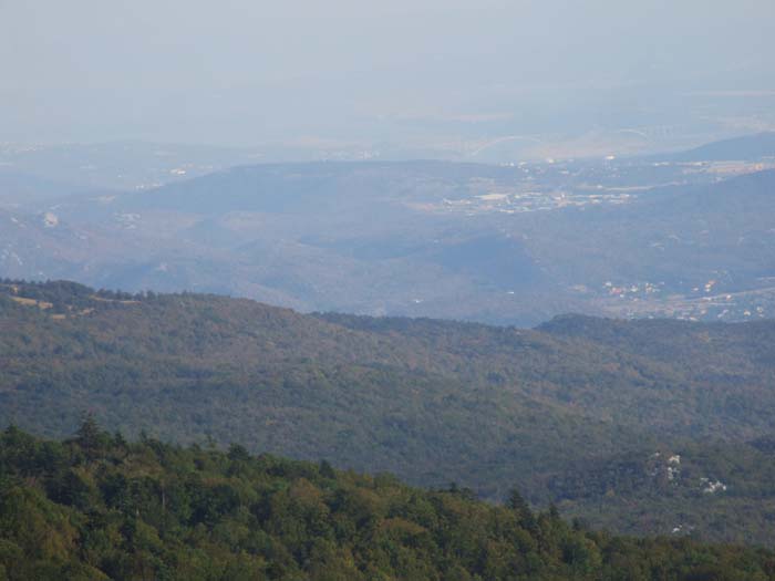 DSCF1130