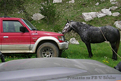 33. Autobox Istra Off Road 2025